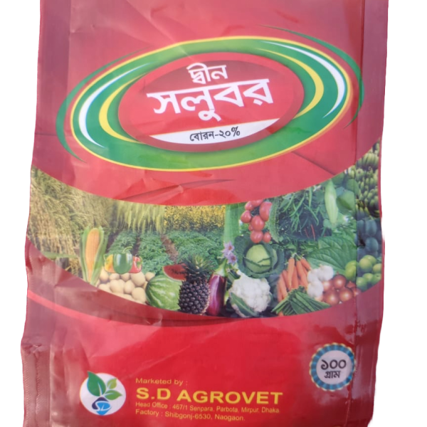 দ্বীন সলুবর বোরন