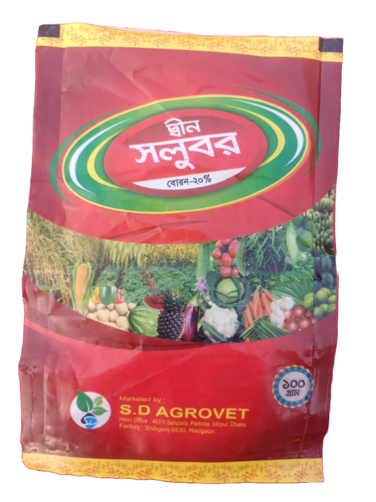 দ্বীন সলুবর বোরন